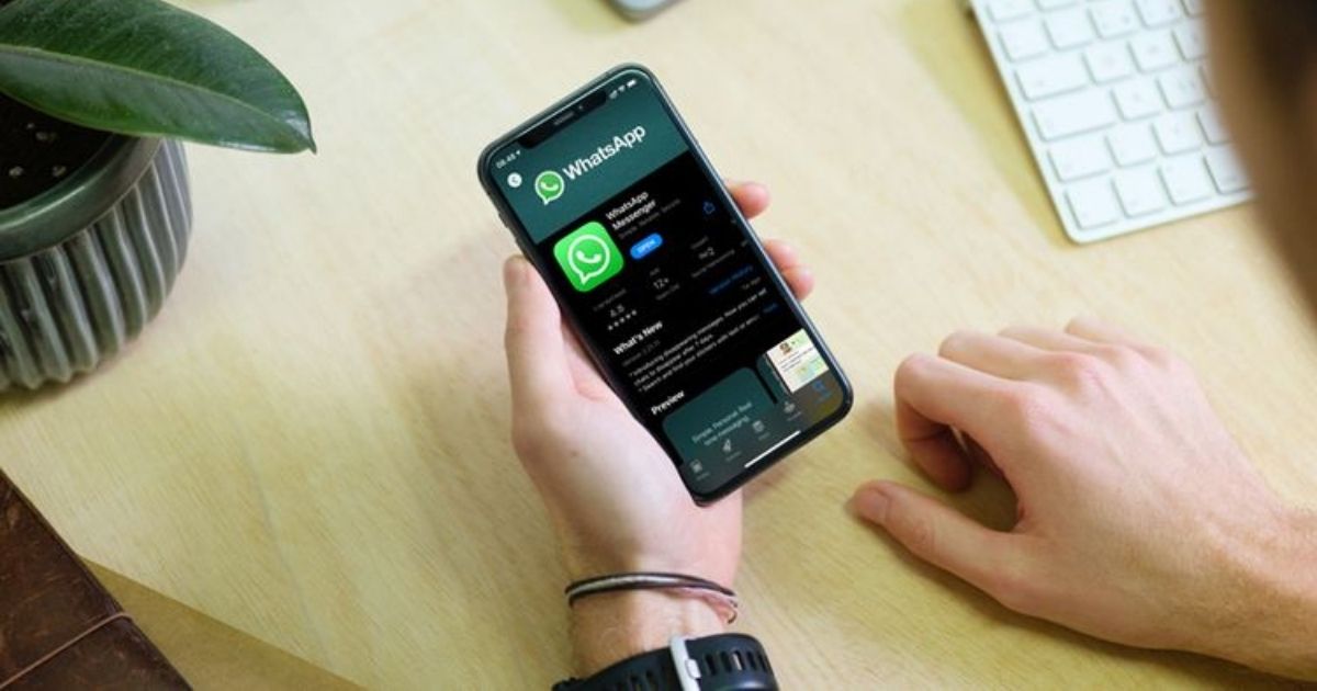 cara bakcup whatsapp