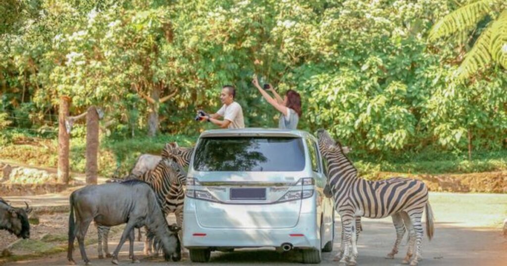 Destinasi Road Trip